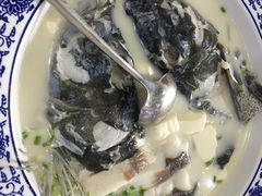 -全乐鱼馆·淳牌有机鱼直营店