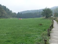 -武陵山森林公园