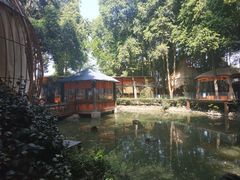 -二荆条·蜀鲜汇城市森林火锅