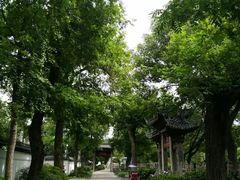 -汇龙潭