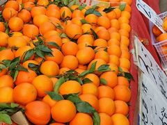 -堤口果品批发市场