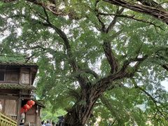 -云水谣景区