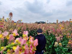 -中国天府农业博览园