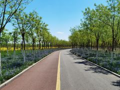 -天津东丽湖风景区