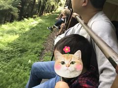 -普芬比利蒸汽火车