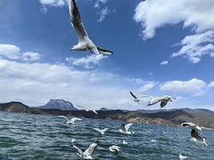 -丽江泸沽湖景区