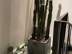 -大树餐厅(红旗街万达店)