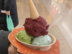 -极拉图·现制冰淇淋(大卫城店)