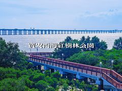 -宝安西湾红树林湿地公园