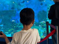 -横店影视城梦幻谷园区