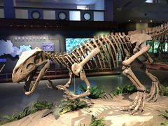 -自贡恐龙博物馆