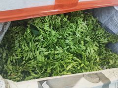 -岳各庄批发市场(西四环中路店)