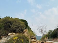 -北京西山国家森林公园