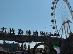 -大连森林动物园