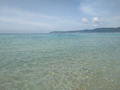 -亚龙湾海底世界