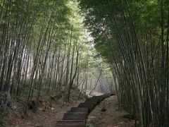 -南京市无想山景区