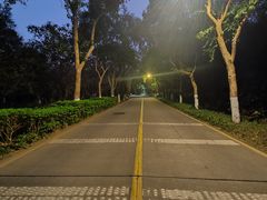 -厦门大学(思明校区)
