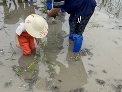 -菊园百果园