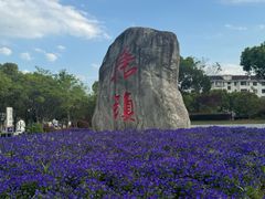 -海底捞火锅(高科东路店)