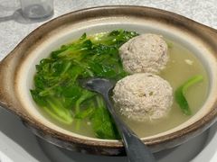 -丁老爷子苏香圆