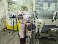 -暖阳宠物医院·犬猫康复中心·骨科