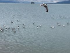 -青海湖二郎剑景区