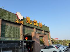 -石岐乳鸽村(南海第三分店)