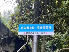 -黄山翡翠谷景区