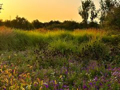 -汉长安城未央宫国家考古遗址公园
