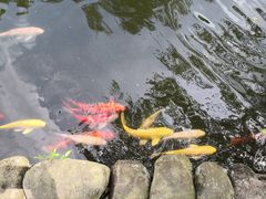 -海南文笔峰盘古文化旅游区