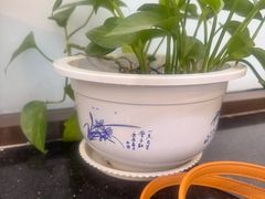 -老孙家泡馍(洒金桥店)