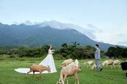 -麦田·婚纱摄影(天河新天地店)
