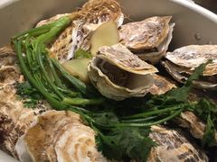 -千岛蚝高压锅生蚝·人参火锅(白云万达店)