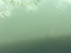 -太湖湖滨国家湿地公园-停车场