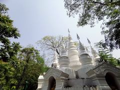 -西双版纳原始森林公园