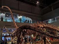 -自贡恐龙博物馆