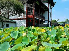 -桂湖森林公园