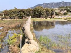 -光明小镇欢乐田园
