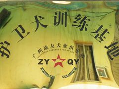 -良成狗狗乐园