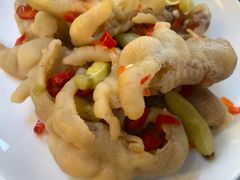 -枫林晚音乐串吧
