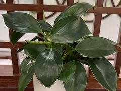 -千滋百味·醉江澜花园餐厅(街道口店)