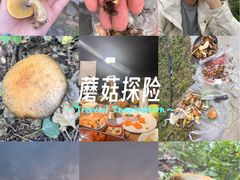 -妙峰山风景名胜区