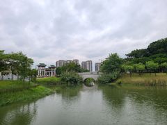 -王借岗森林公园