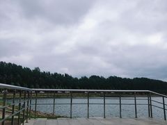 -丁香湖公园