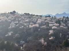-白水寺森林公园