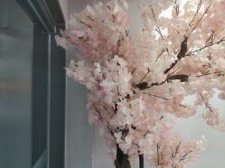 -Feel 羽毛接发