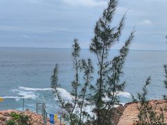 -广东惠东海龟国家级自然保护区