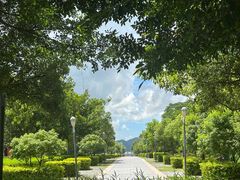 -深圳湾公园(南山区)