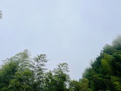-蜀南竹海景区