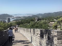 -黄贤森林公园